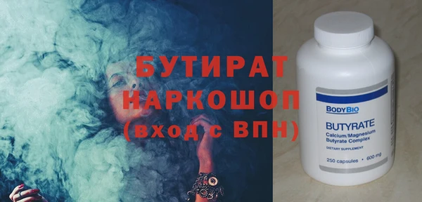 индика Краснослободск