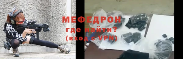 индика Краснослободск