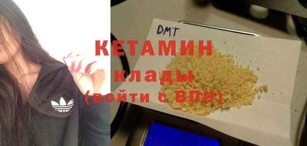 индика Краснослободск