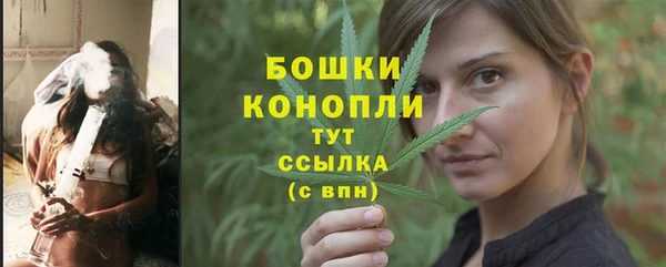 крисы Куйбышев