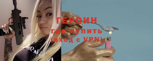 индика Краснослободск