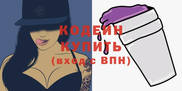 индика Краснослободск