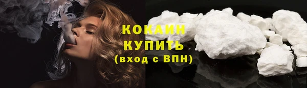 индика Краснослободск