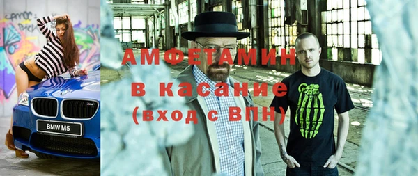 индика Краснослободск