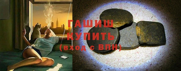 индика Краснослободск