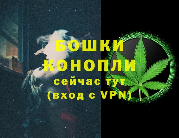 индика Краснослободск