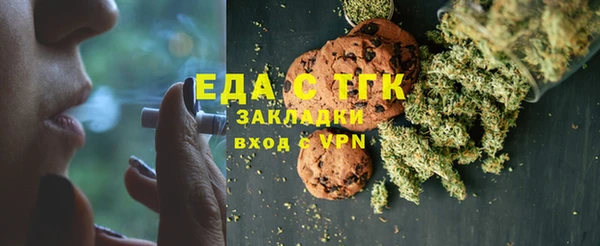 индика Краснослободск