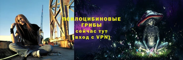 индика Краснослободск