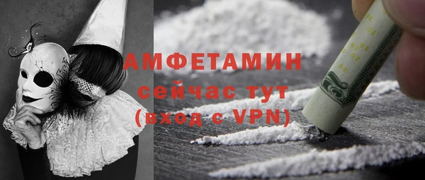 индика Краснослободск