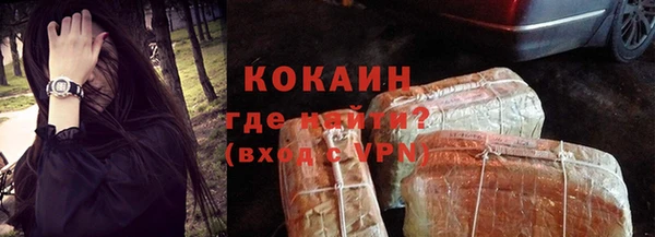 индика Краснослободск