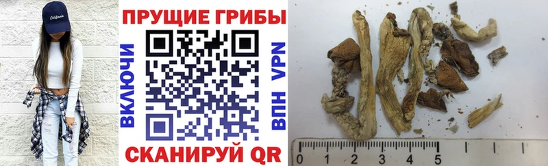 Галлюциногенные грибы мухоморы  Купить  Салехард 