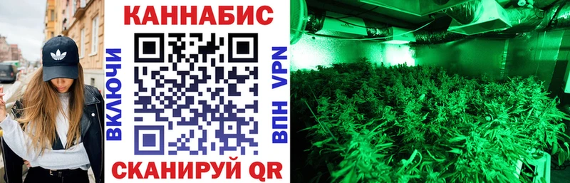 Купить  Салехард  Канабис ГИДРОПОН 